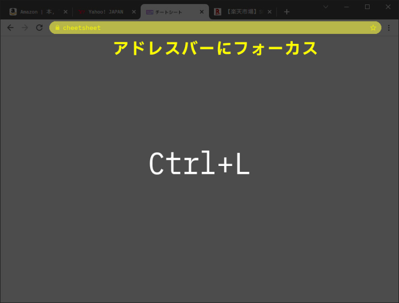 browser-address.jpg